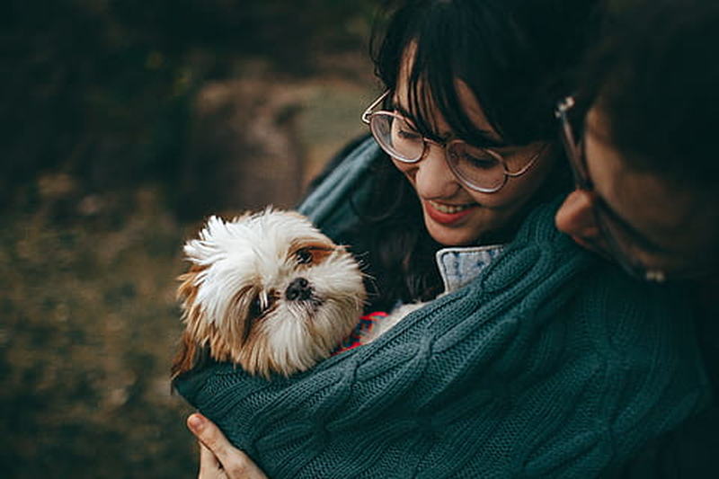 Tudo que você precisa saber antes de adotar um cãozinho